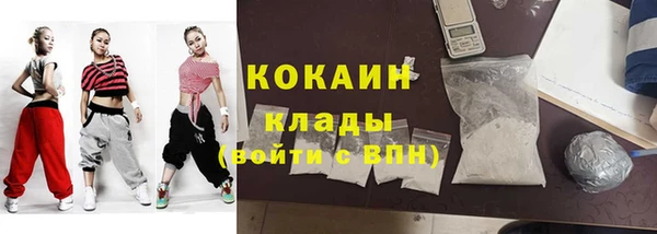 прущие грибы Армянск