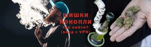 прущие грибы Армянск