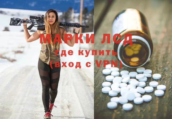 прущие грибы Армянск