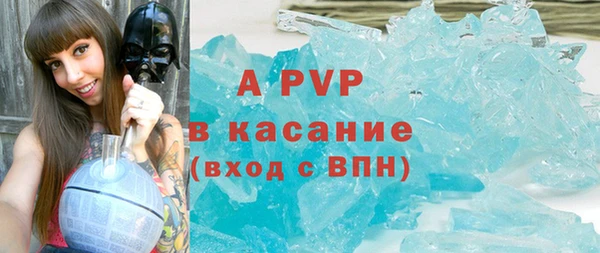 прущие грибы Армянск